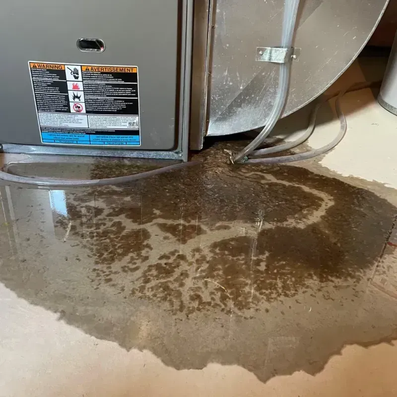 Appliance Leak Cleanup in Mound City, SD